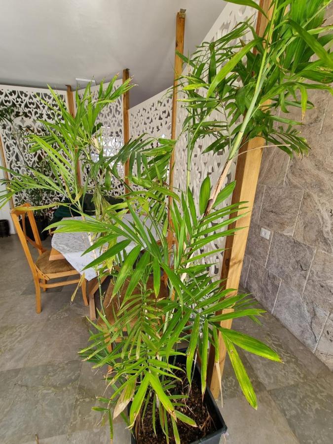 Apartment Diamond Luxury - *